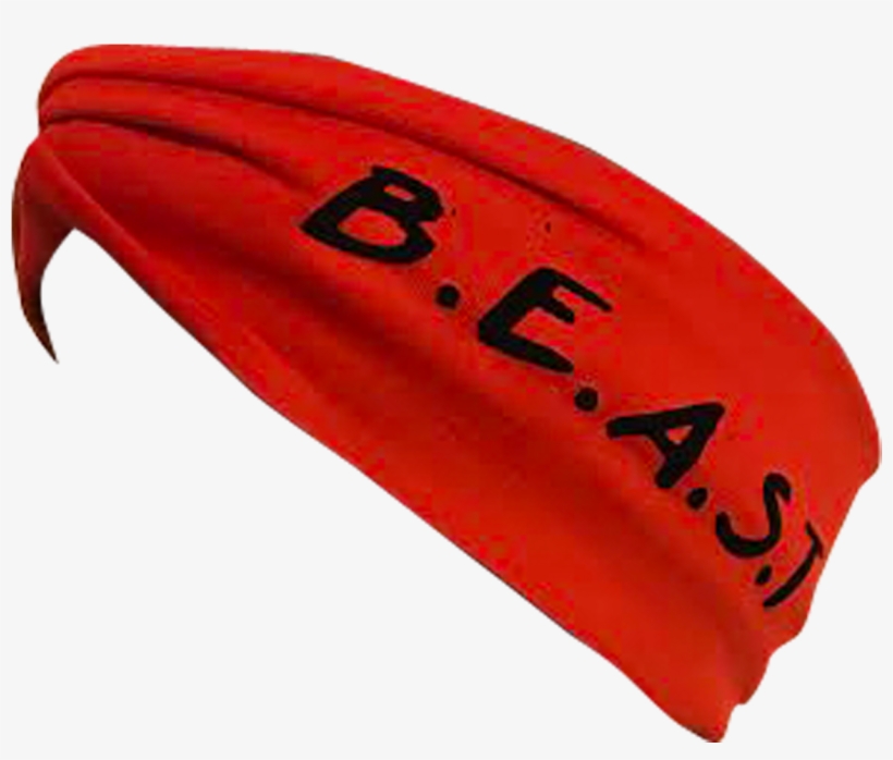 Image Of Logo Headband - Coin Purse, transparent png