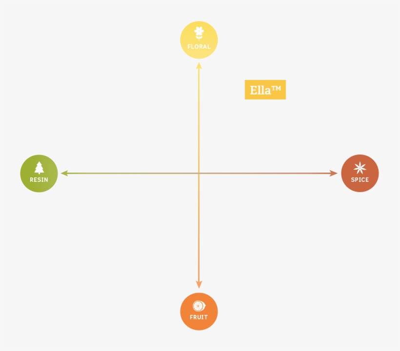 Analytical Data, Amount - Hops, transparent png