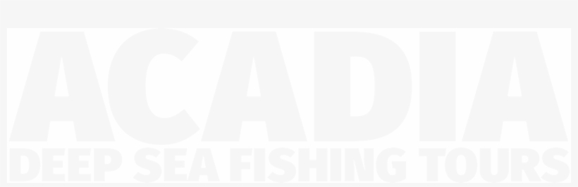Acadia Deep Sea Fishing Tours - Bar Harbor Maine Summer Fishing, transparent png
