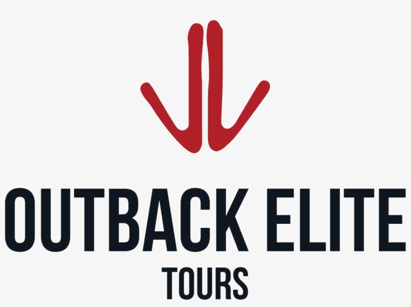 Quotes Only Swimmers Will Understand, transparent png