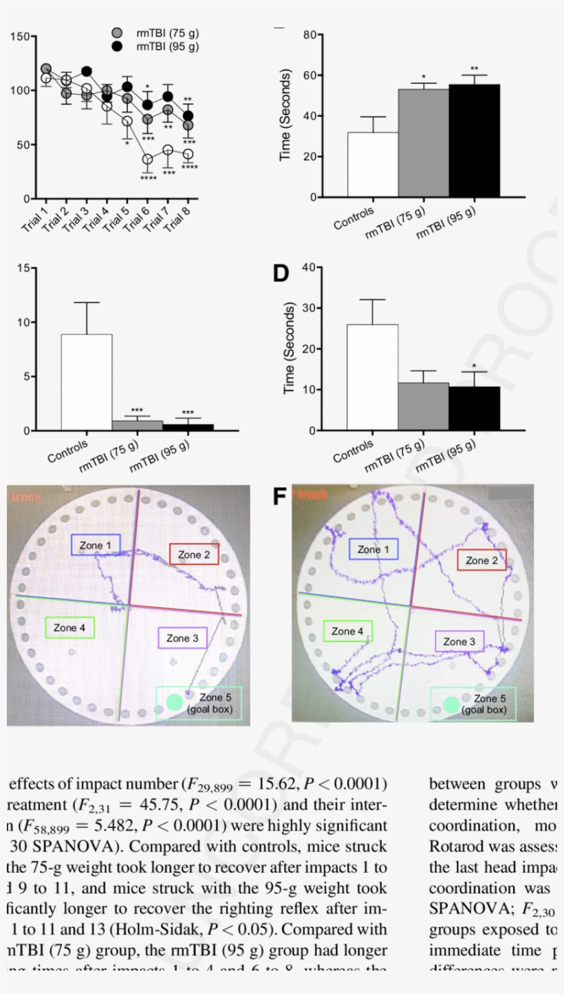 Repetitive Mild Traumatic Brain Injury Impairs Acquisition - Barnes Maze, transparent png