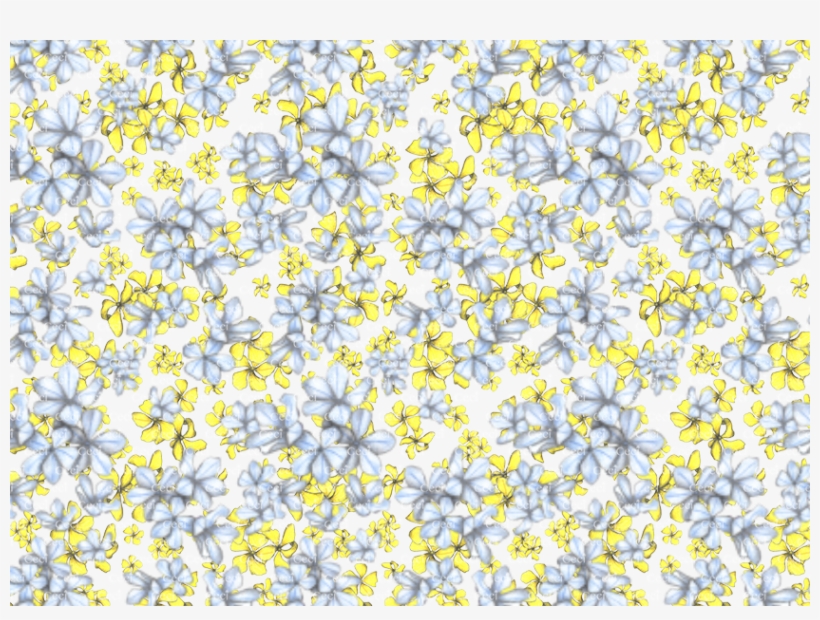 Mix Fiorellini Gialli &amp - Alyssum, transparent png