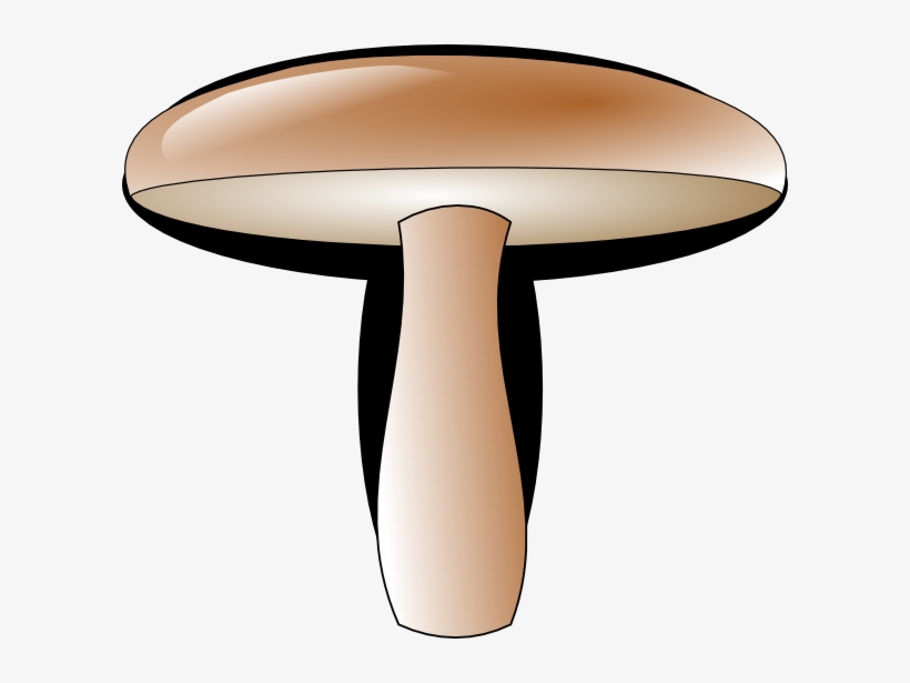Shiitake, transparent png