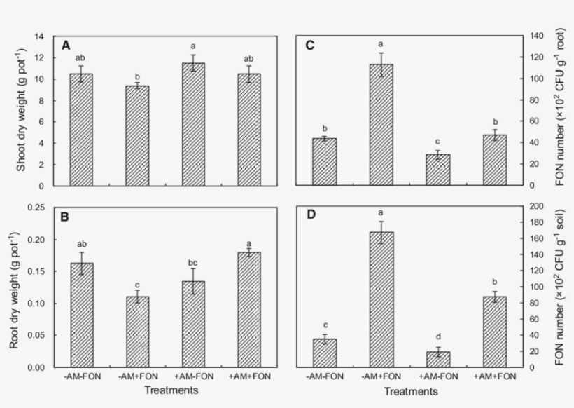 Biomass Of Watermelon Plants And The Number Of Fon - Commercial Building, transparent png