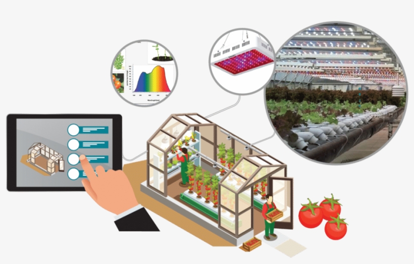 Smart Greenhouse Lighting - Smart Greenhouse Taiwan, transparent png