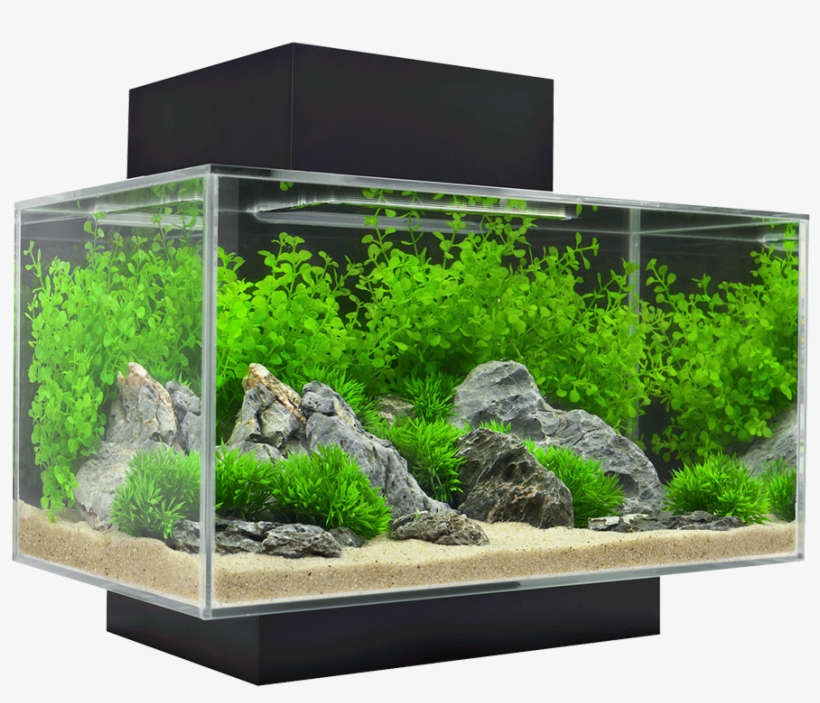 Acuario Fluval Edge Leds 23 Lt Negro, transparent png