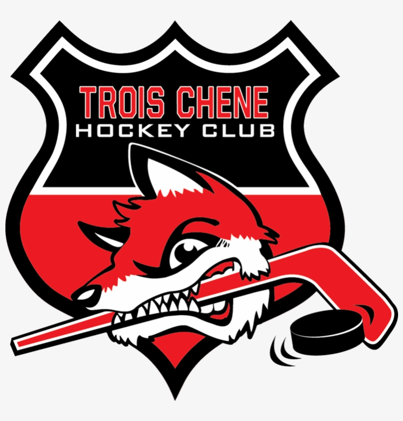 Goal Efficiency - - - Trois Chene Hockey Club, transparent png