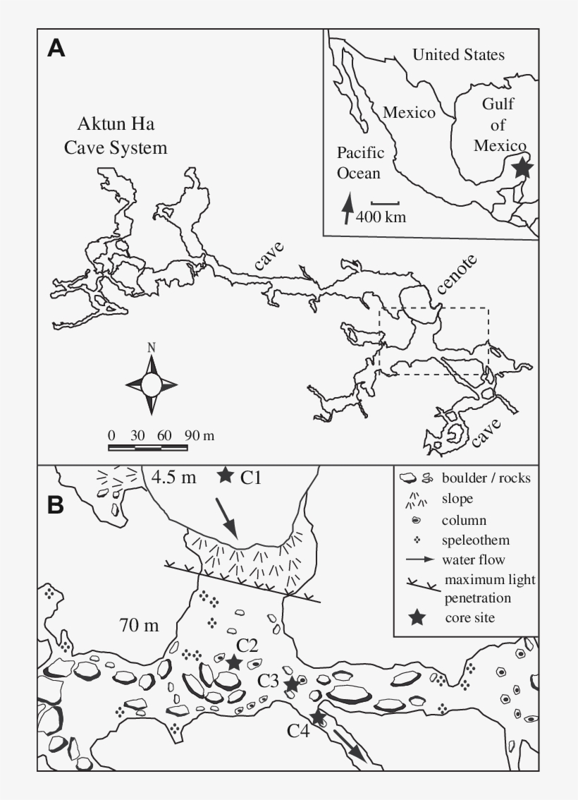 Map Of Aktun Ha Cave And Its Location Along The Caribbean - Cave, transparent png