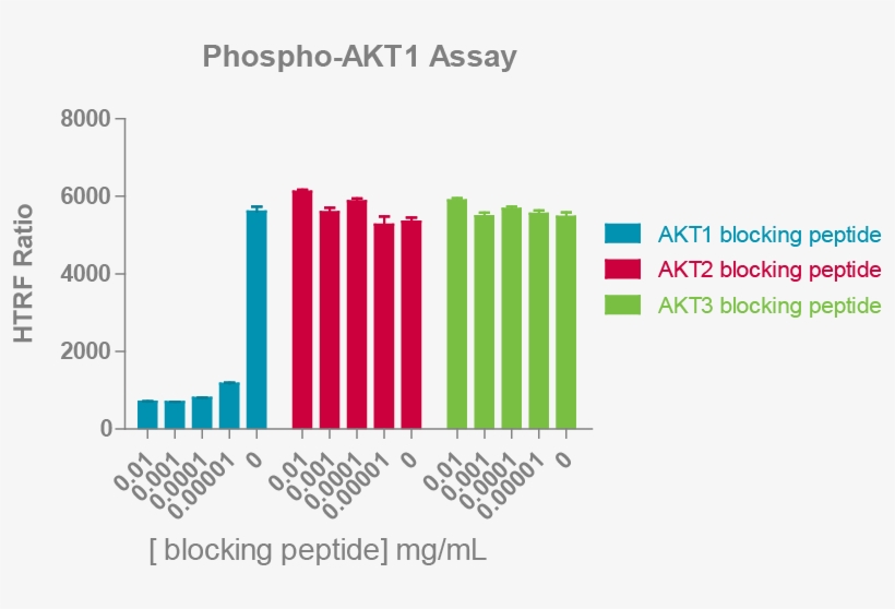 Total Akt1, Total Akt2 Or Total Akt3 Detection Reagents - Phospho Akt Western Assay, transparent png