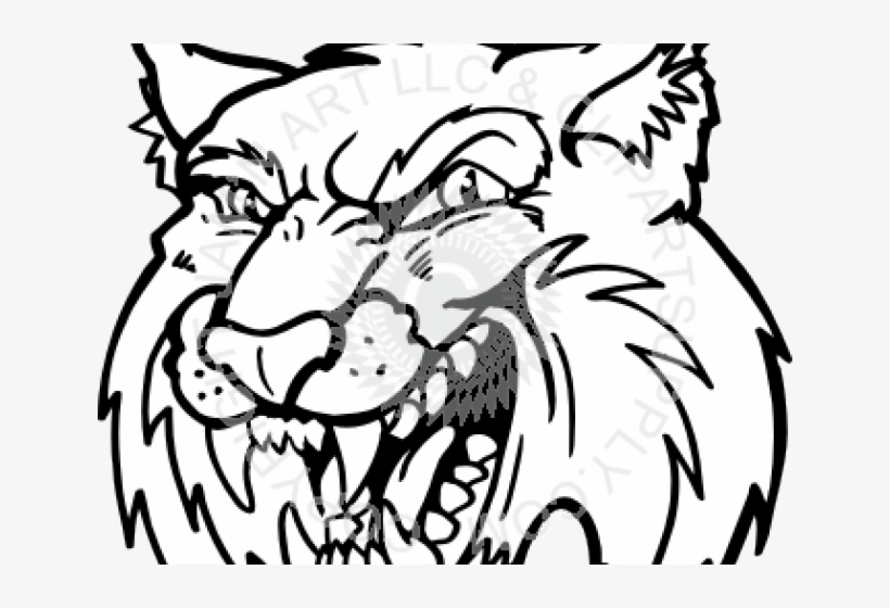 Cougar Clipart Bobcat - Bobcat Clip Art, transparent png