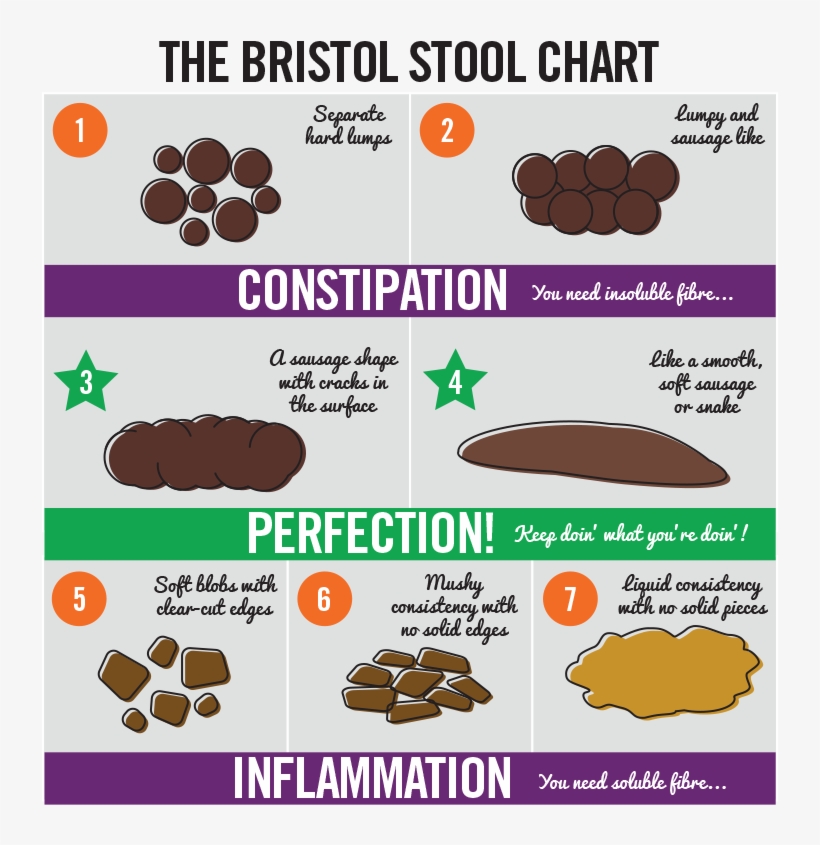How To Eat For A Healthy Bowel, transparent png