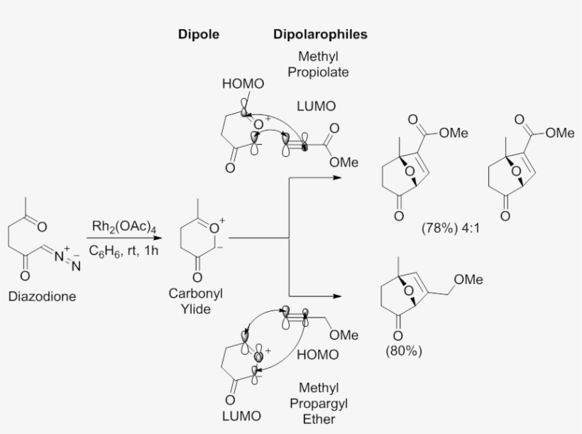 Regioselectivity And Molecular Orbital Interactions, transparent png