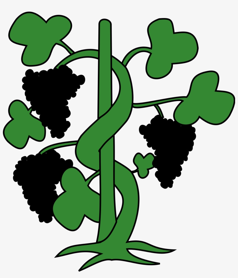 Open - Climber Plant Clipart, transparent png