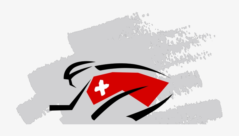 Without The Swiss Flag, transparent png