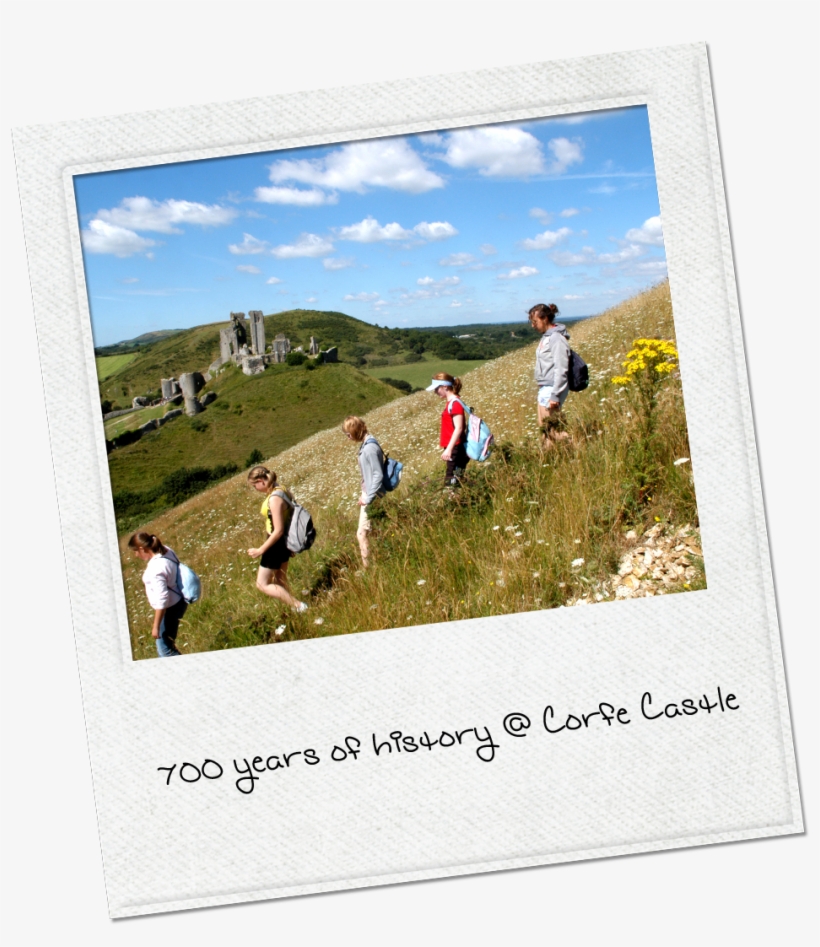 Who Wouldn't Love To Enjoy A Picnic With The Backdrop - Picnic, transparent png