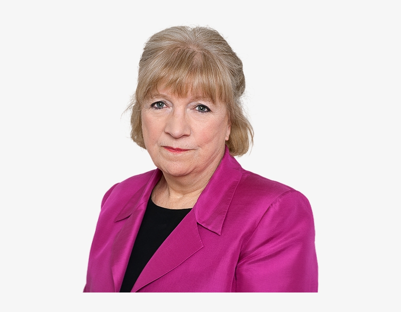 This Is Only The End Of The Beginning Of Our Brexit - Polly Toynbee Guardian, transparent png