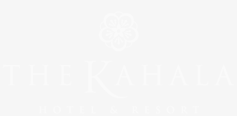 Thumbnails - Johns Hopkins White Logo, transparent png