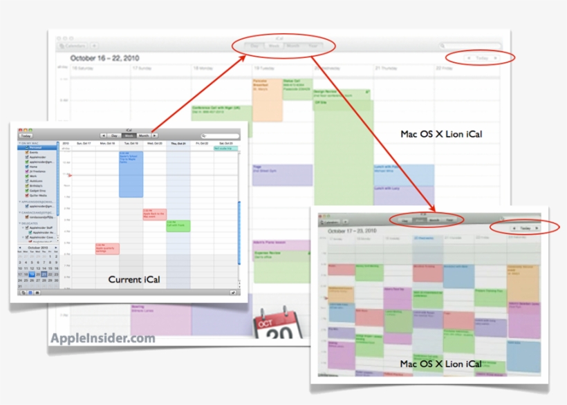 Lion - Color Scheme For Ical, transparent png
