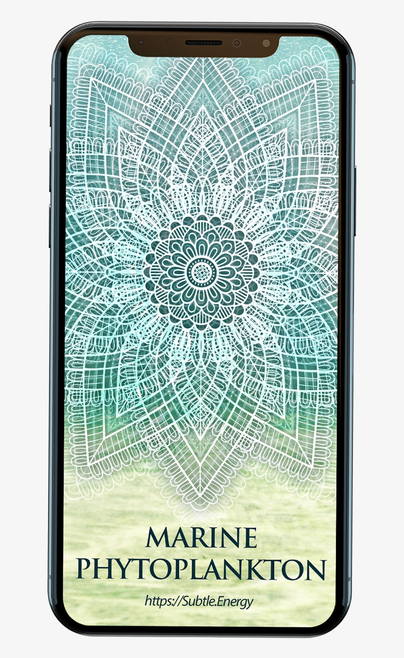 Marine Believe It Or Not The Regular - Smartphone, transparent png