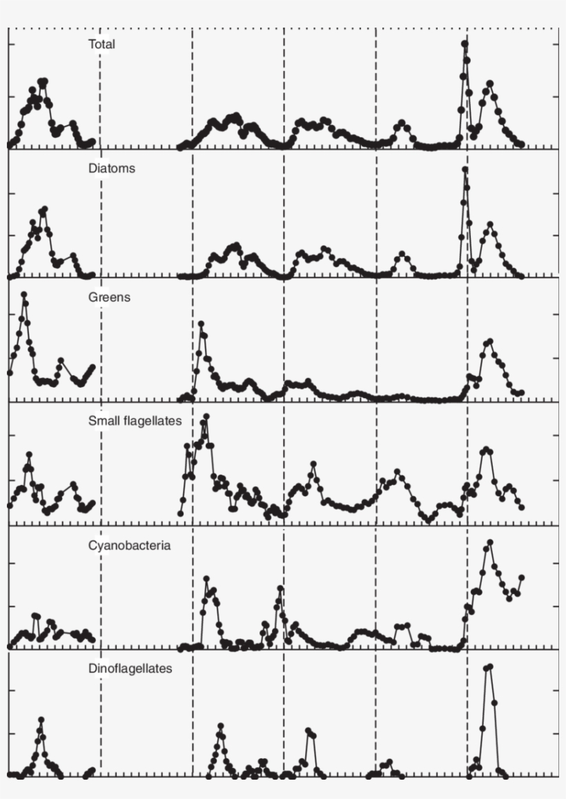 Time Series For The Biovolume Of Major Phytoplankton - Diagram, transparent png