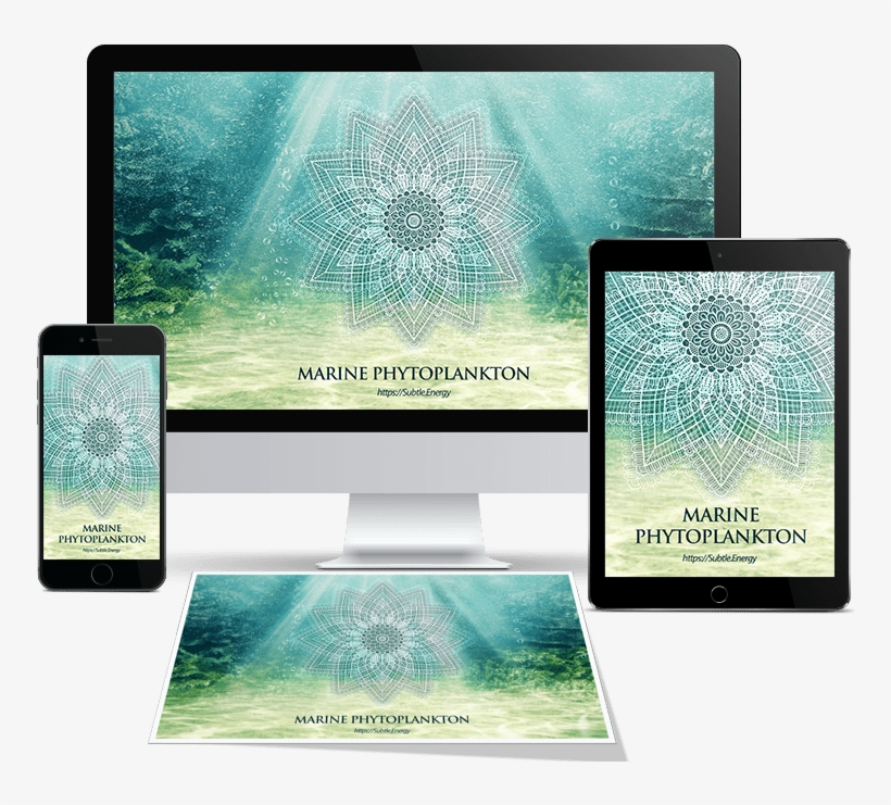 Marine Phytoplankton, transparent png