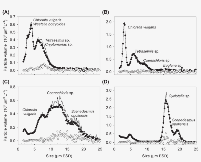 Size Distribution Of Phytoplankton Particles In Control - Diagram, transparent png
