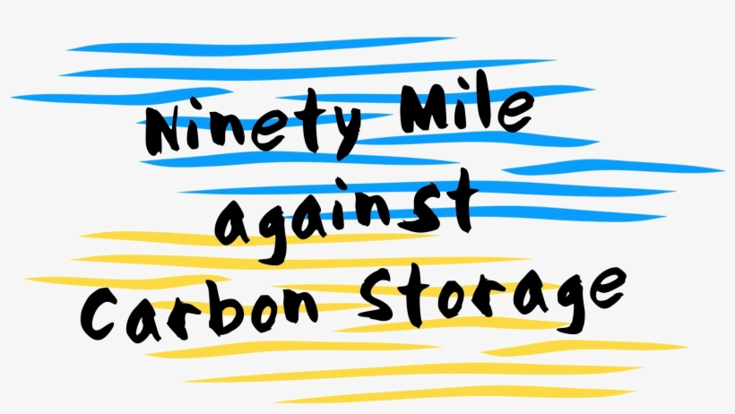 Co2 Sensitivity Of Southern Ocean Phytoplankton - Calligraphy, transparent png