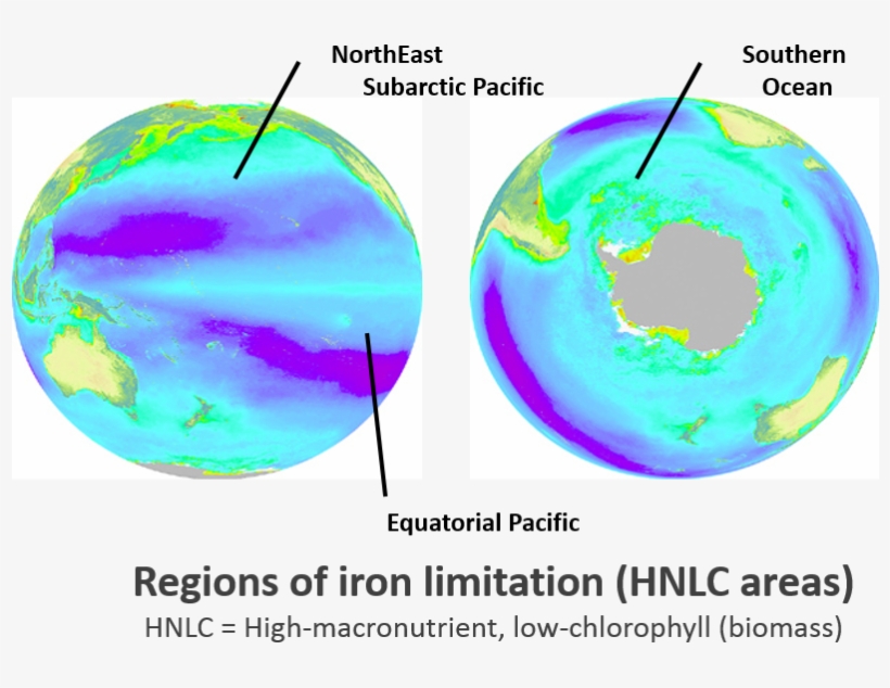 Picture - High-nutrient, Low-chlorophyll, transparent png