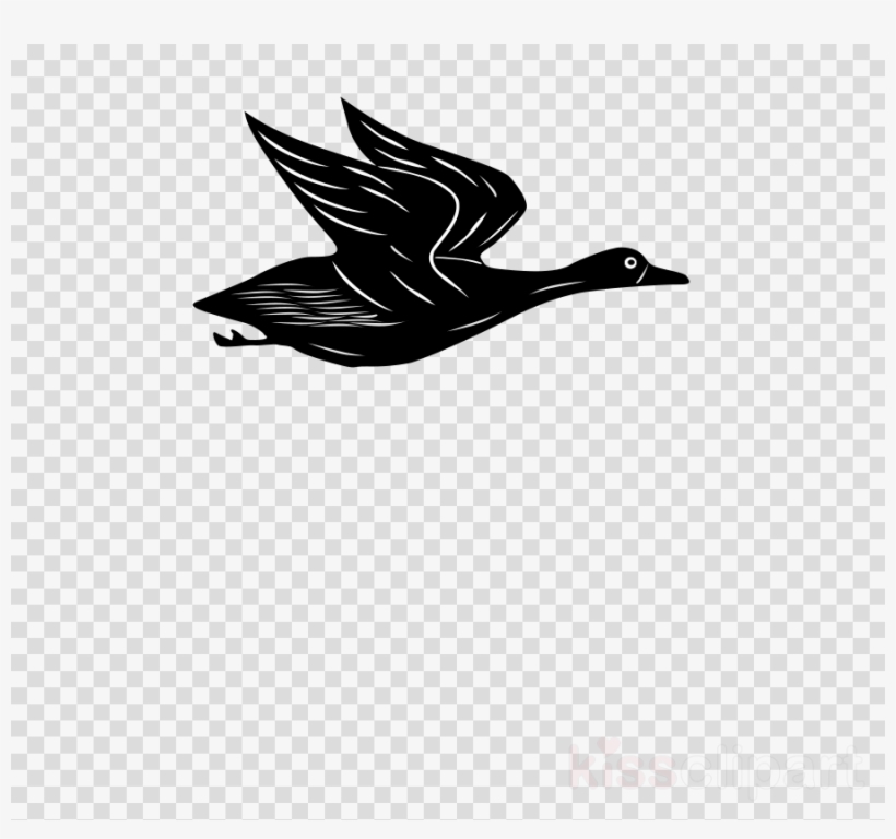 Cartoon Flying Duck Gif Clipart Duck Mallard Clip Art - Logo Dream League Soccer 2018, transparent png