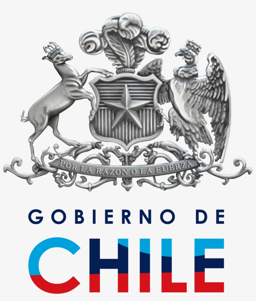 Logo Gobierno De Chile 2010 - Chile Coat Of Arm, transparent png