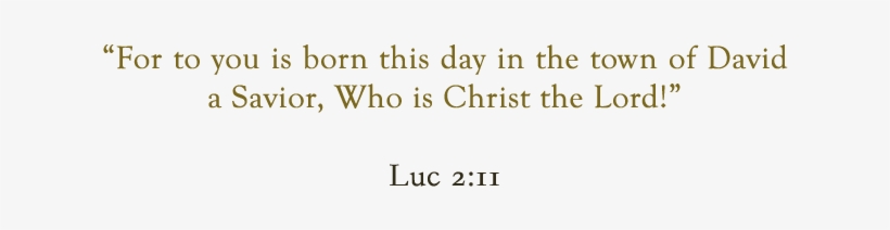 Bible-verse - Title Of Portfolio, transparent png