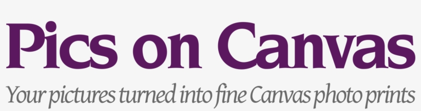 Clinica De Estetica Slogan, transparent png