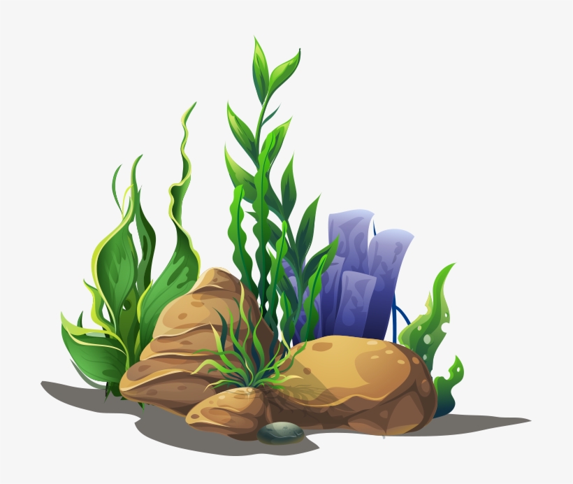 We Have Several Different Finance Options Available, transparent png