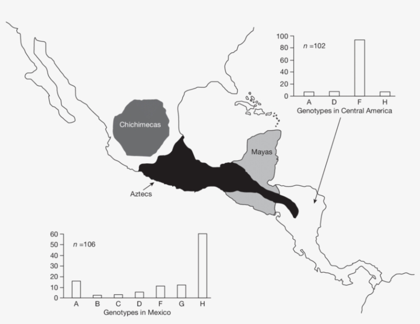Distribution Of Hbv Genotypes In Central America And, transparent png