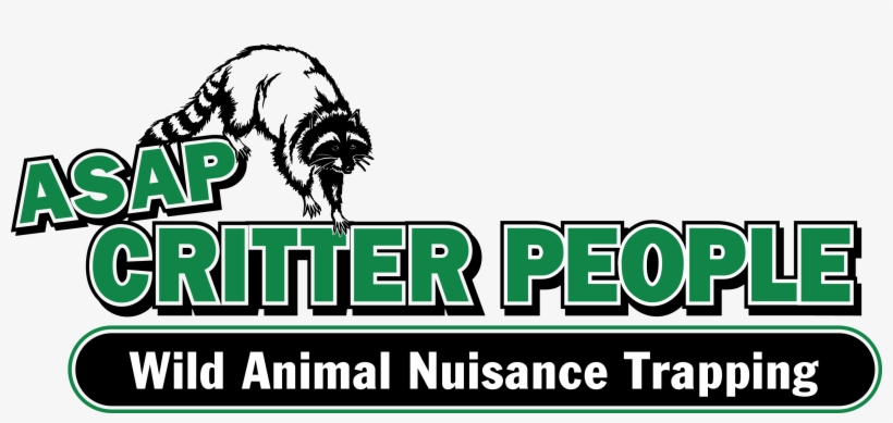 Animal Contol Removal, transparent png