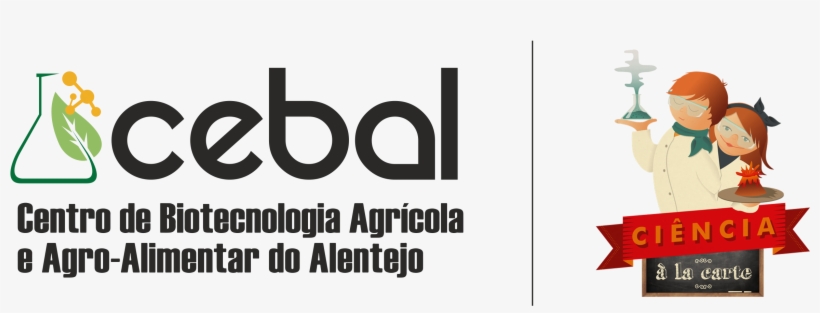 Documento De Apoio, transparent png