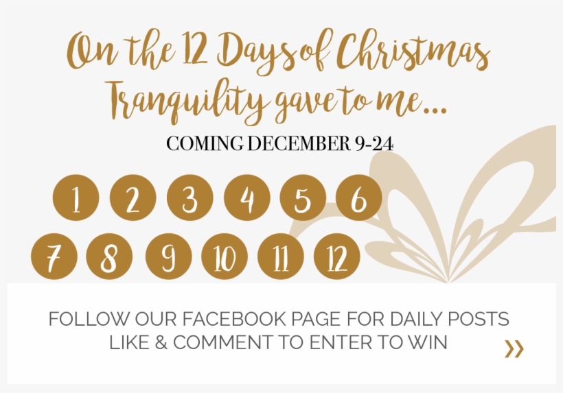 On Our Last 12 Business Days Before Christmas We Will, transparent png