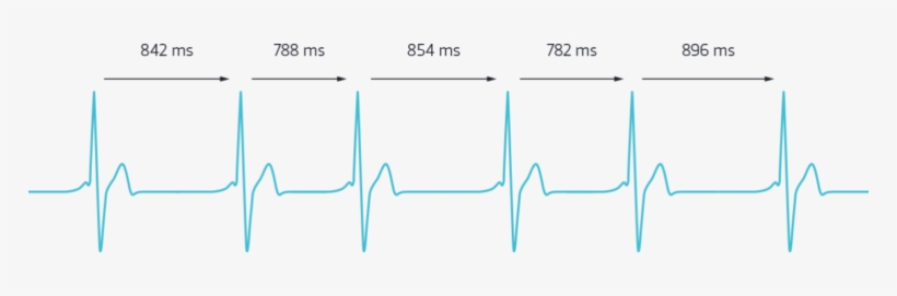 Between Every Heartbeat Is An Interval Of Variable - Heart Rate Variability Png, transparent png