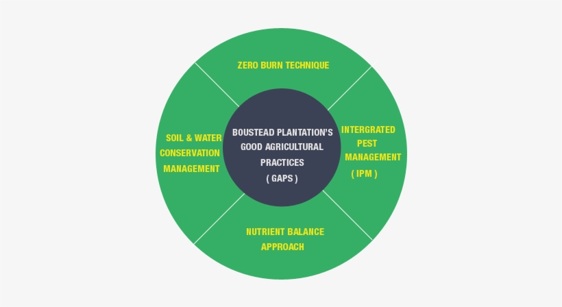 Overview - Good Agricultural Practices Palm Oil, transparent png