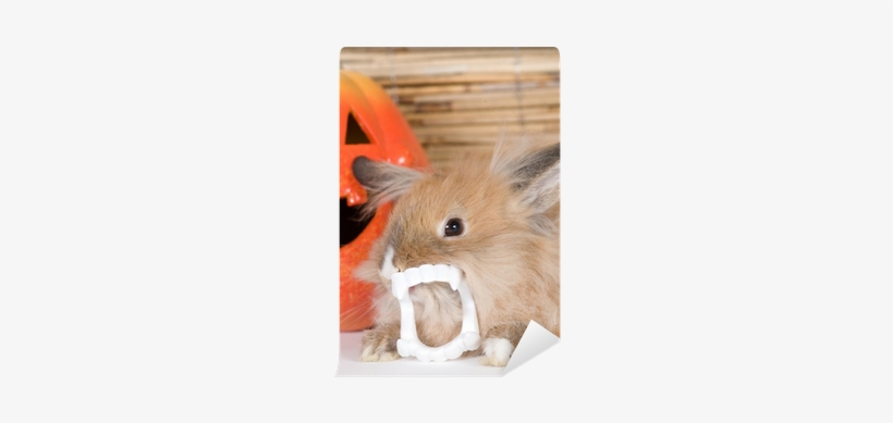 Brown Rabbit With Vampire Teeth, Halloween Pumpkin - Halloween, transparent png