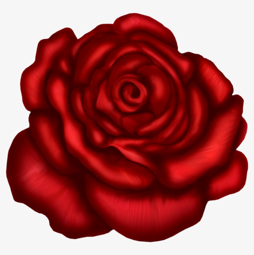 Red Rose Art Picture - Floribunda, transparent png