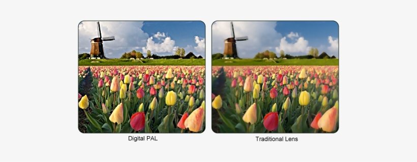 Europe Hostels & Travel Guide 2011, transparent png