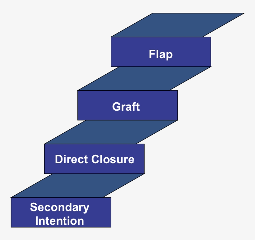 How To Fill A Hole Reconstructive Ladder In Plastic Surgery 757x699
