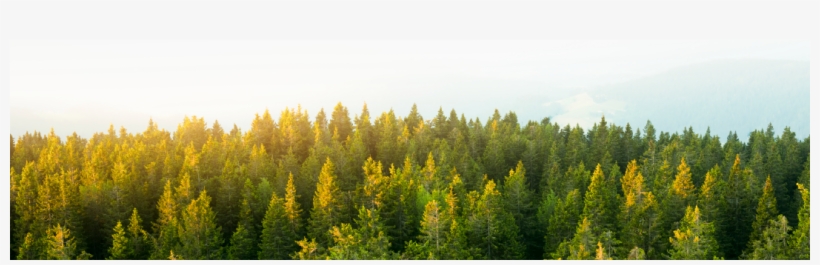 Submit - Stock Photography, transparent png
