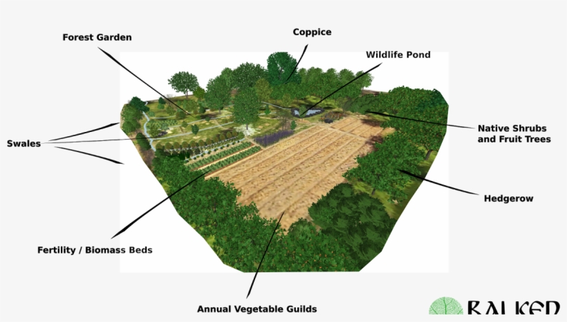 Balkan Ecology Project - Plantation, transparent png