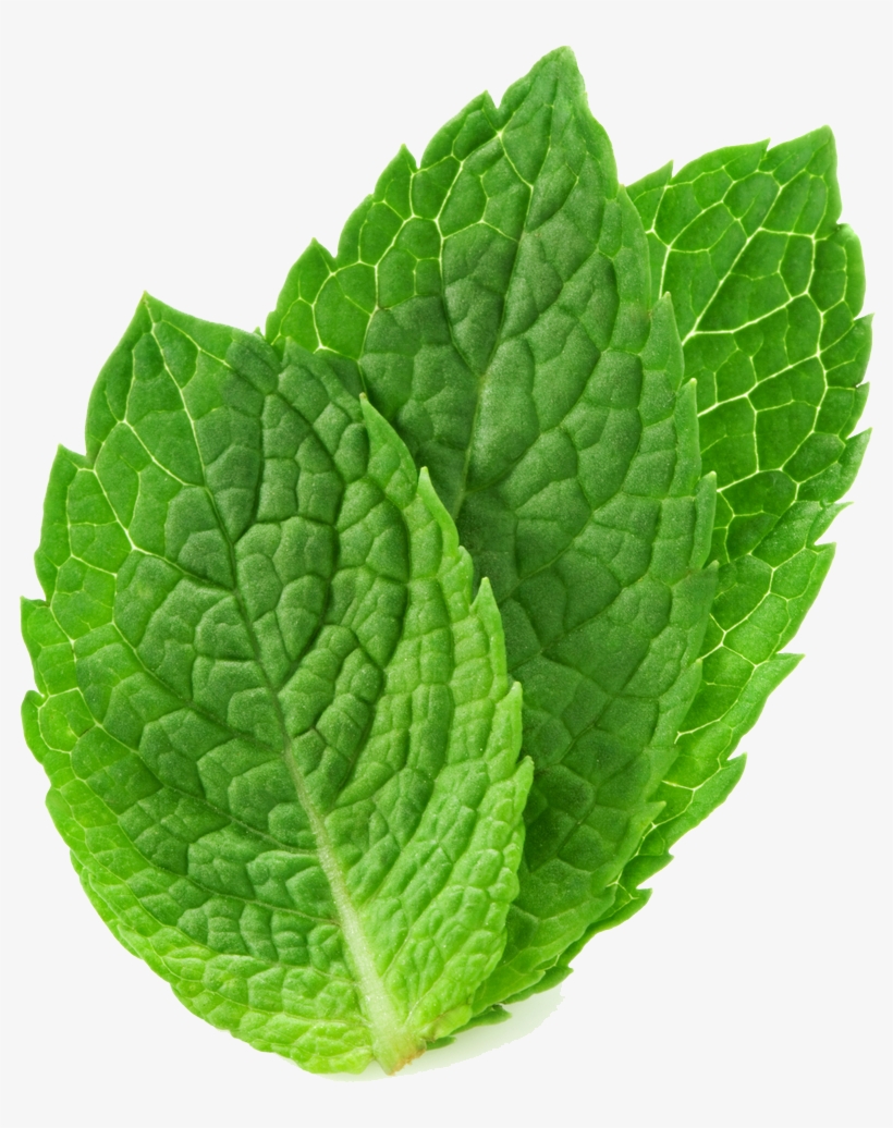 Mint Png - Mint Leave, transparent png