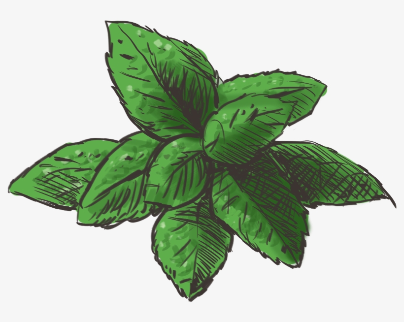Mint Png Hd - Portable Network Graphics, transparent png