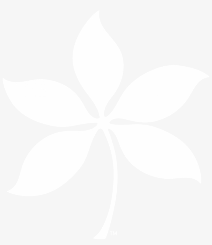 Png Buckeye Leaf - Buckeye Leaf Clip Art, transparent png