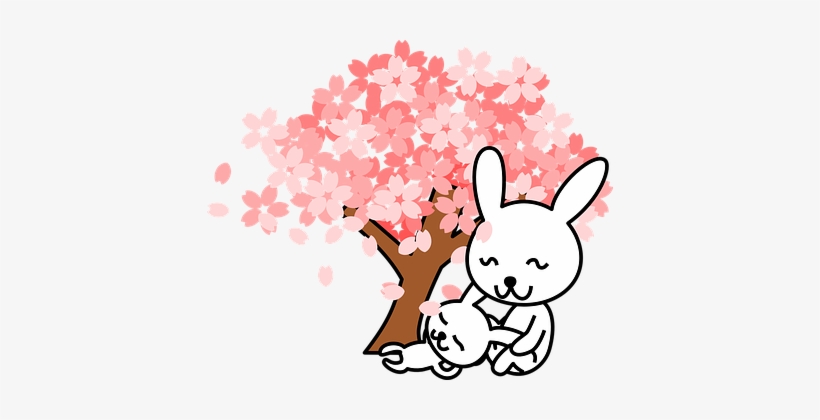Rabbits Bunnies Animal Cute Tree Cherry Tr - Japan Cherry Blossom Cartoon, transparent png