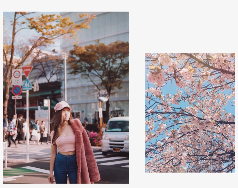 Wearing Lpa Faux Fur Coat 111 In Deep Mauve And Top - Japan Sakura Fashion, transparent png